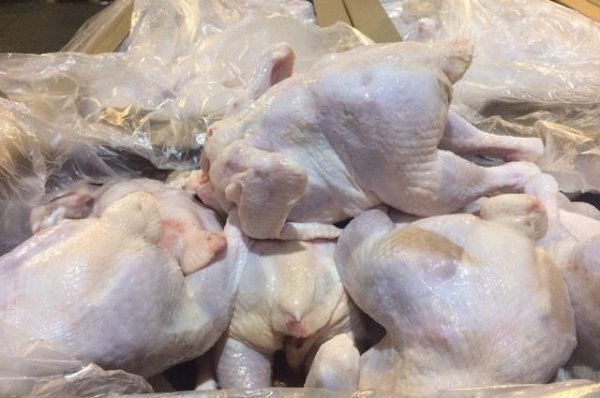 Сингапур разрешил экспорт замороженного мяса птицы из России - «Политика»