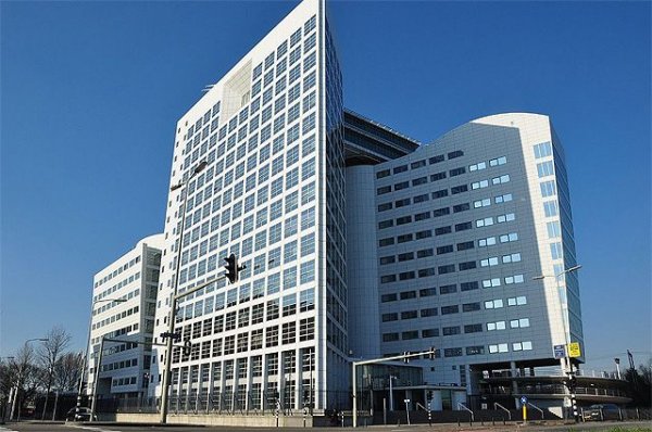СМИ: жена экс-главы Интерпола подала иск к организации в Гаагский суд - «Происшествия»
