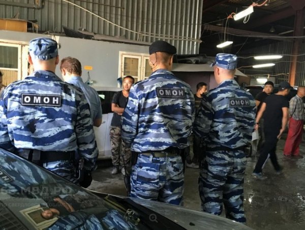 Свердловская полиция подвела итоги операции «Нелегал-2019»