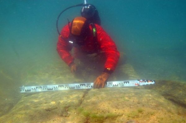 В Финском заливе нашли объекты, похожие на затонувшие в XVIII-XX вв. суда - «Происшествия»