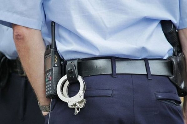 В Люберцах задержаны 32 участника криминальной группировки - «Происшествия»