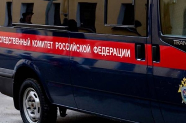 В Петербурге нашли мертвой гражданскую активистку - «Происшествия»