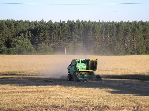 В России намолочено 32,7 млн тонн зерна нового урожая - «Экономика»