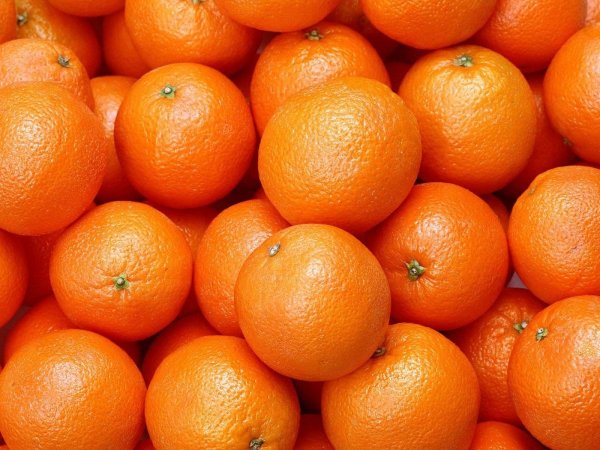 В Россию не пустили зараженные апельсины из Египта - «Здоровье»