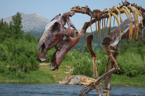 В США нашли останки ранее неизвестного динозавра - «Политика»