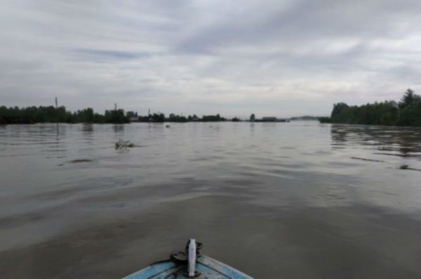 В Тулуне из-за угрозы нового подтопления засыпали водосток в дамбе - «Политика»