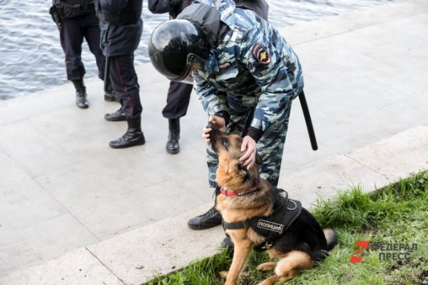 В Югре сотрудники ФСБ предотвратили крупный теракт
