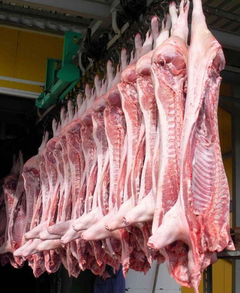 За 2018-19 сезон котировки мяса КРС и свинины оказались в минусе - «Общество»