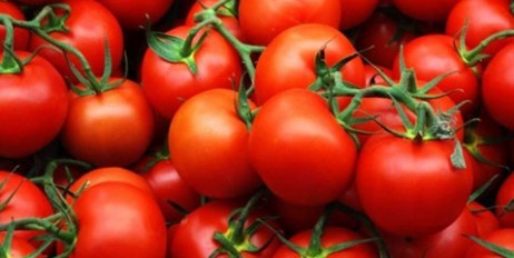 Названы самые полезные свойства помидоров - «Общество»