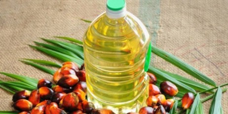 Ученые рассказали, в чем вред пальмового масла - «Политика»
