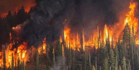 В России сорок шаманов попытаются вызвать дожди над пылающей в огне Сибирью - «Культура»