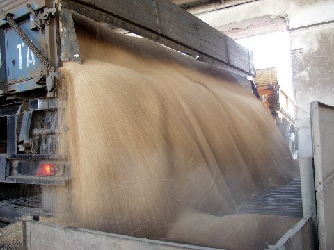 В российском госфонде выявлена недостача почти на 16 тыс. тонн зерна - «Здоровье»
