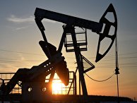 Bloomberg (США): нефтяные санкции Трампа сделали российских экспортеров богаче на миллиард долларов - «ЭКОНОМИКА»