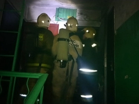Двух детей вывели спасатели при пожаре в многоэтажке Тулы