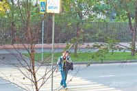 Где в Конькове обновили разметку на пешеходных переходах? | Коньково | Мой район - «Политика»