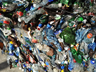 IntelliNews (Германия): Россия постепенно начинает осваивать переработку пластика - «ЭКОНОМИКА»
