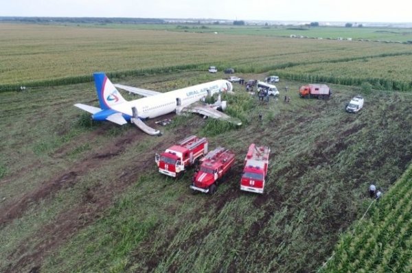 58 пассажиров А-321, совершившего жесткую посадку в поле, улетели в Крым | Происшествия - «Политика»