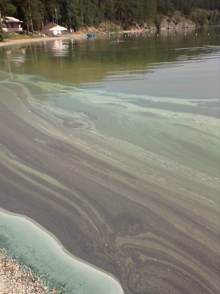 Экологи объяснили таинственные бирюзовые пятна на озере Тургояк