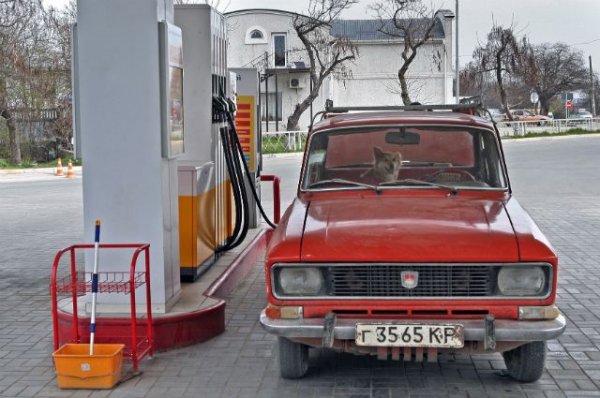 Горючая точка. Почему Китай снижает цены на бензин, а Россия – нет | Экономика | Деньги - «Политика»