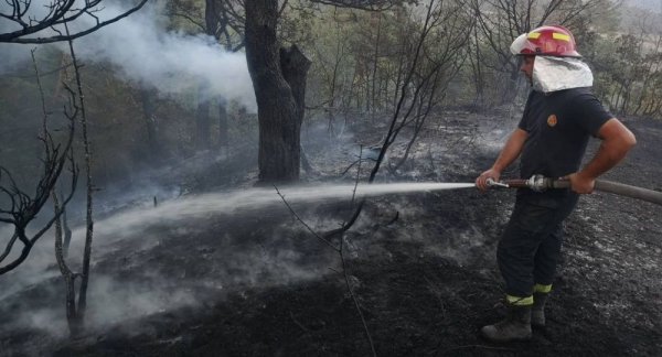 Лесной пожар в Грузии тушат при помощи вертолетов - «Спорт»