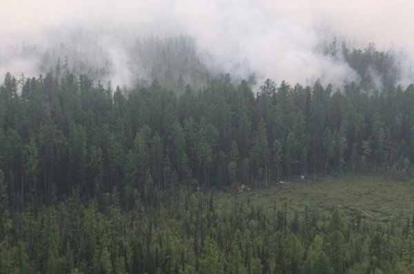 МЧС: в Якутии за сутки потушили шесть лесных пожаров | Безопасность | Общество - «Политика»