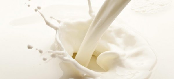 Мировой рост цен на молоко прогнозируют эксперты - «Технологии»