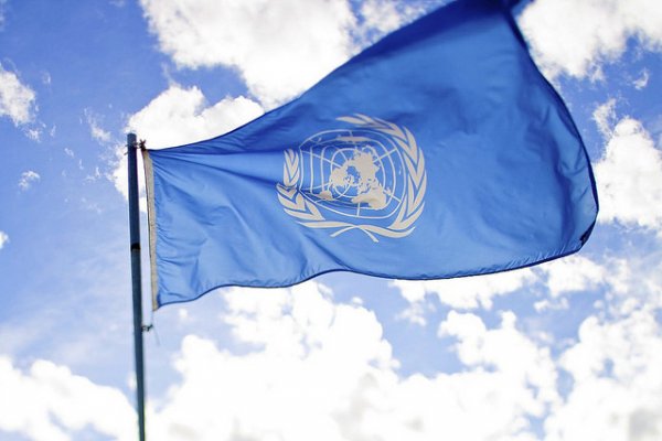 Морозова потребовала от ООН дать оценку действиям главы миссии по правам человека на Украине