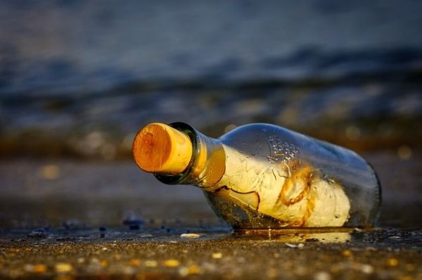 На Аляске нашли бутылку с посланием времен СССР | История | Общество - «Происшествия»