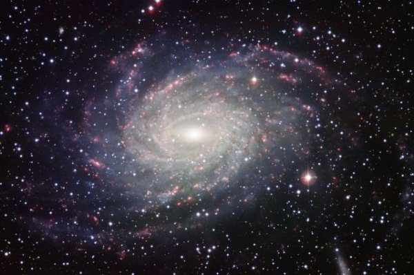 На краю Млечного пути нашли след одной из первых звезд Вселенной | Наука | Общество - «Происшествия»