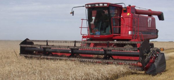 Намолот зерна в России приблизился к 70 миллионам тонн - «Новости дня»