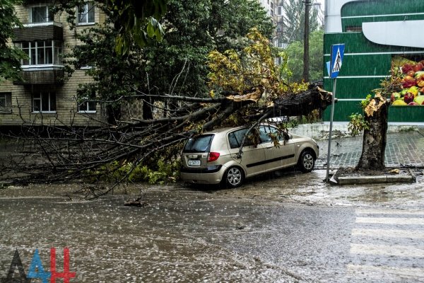 Около 5000 абонентов в ДНР остались без электроснабжения из-за непогоды – МЧС