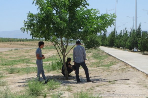 Плюс 47,8 градуса в тени: в Туркмении стоит аномальная жара - «Новости Дня»