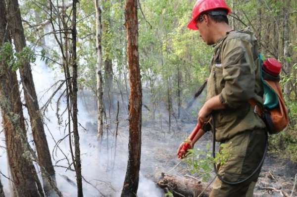Под Красноярском нашли пропавшего при тушении леса пожарного | Происшествия - «Политика»