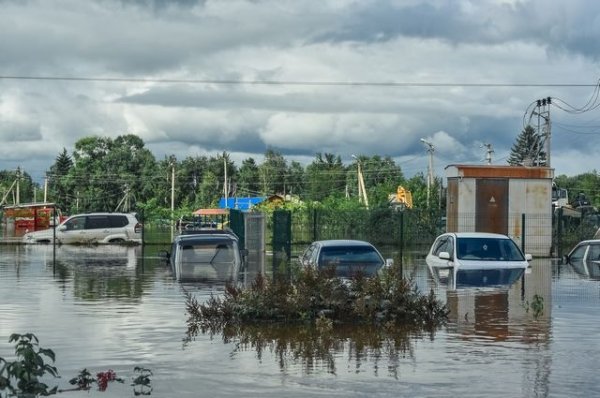 Пострадавшие от паводка жители Приамурья получат федеральные выплаты | Право | Общество - «Политика»
