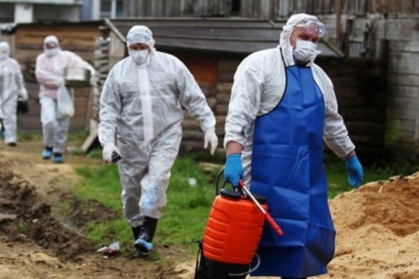 Роспотребнадзор проверяет сведения о вспышке чумы в Донецкой области | Происшествия - «Политика»