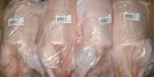 Россельхознадзор снимает запрет на ввоз казахстанской птицеводческой продукции - «Авто новости»
