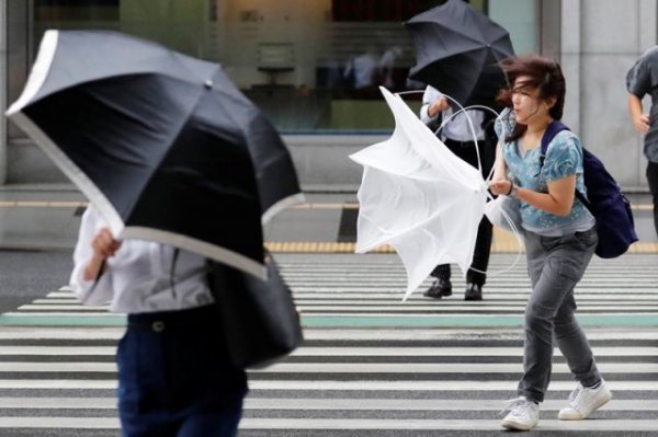 Тайфун «Лекима» обрушился на Японию и движется на Китай | Происшествия - «Происшествия»