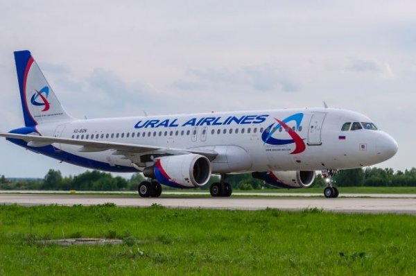 «Уральские авиалинии» отменили два рейса между Москвой в Новосибирском | Происшествия - «Политика»