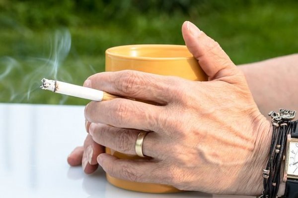 В Черногории введен запрет на курение в ресторанах и кафе | Здравоохранение | Общество - «Политика»