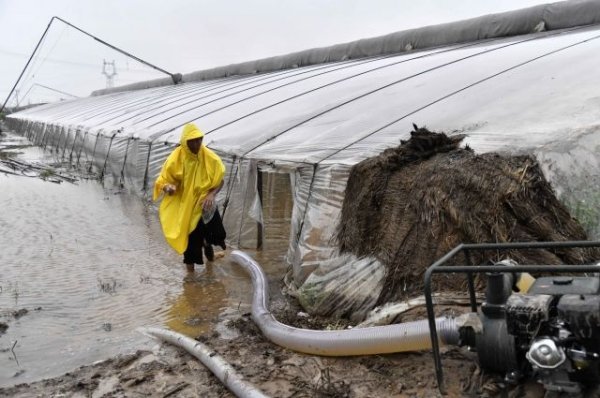 В Китае более 85 тыс. человек оказались в зоне бедствия из-за тайфуна – СМИ | Природа | Общество - «Происшествия»