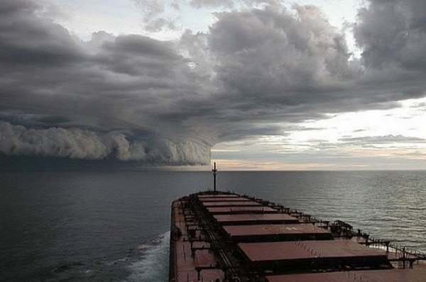 В Приморье объявлено штормовое предупреждение из-за тайфуна «Лекима» | Происшествия - «Политика»