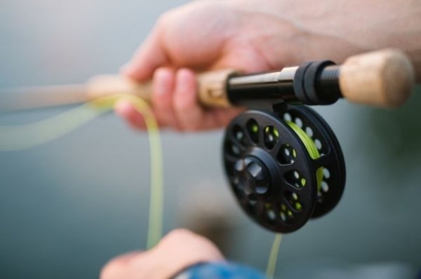 В Росрыболовстве прокомментировали новые правила любительской рыбалки | Общество - «Происшествия»