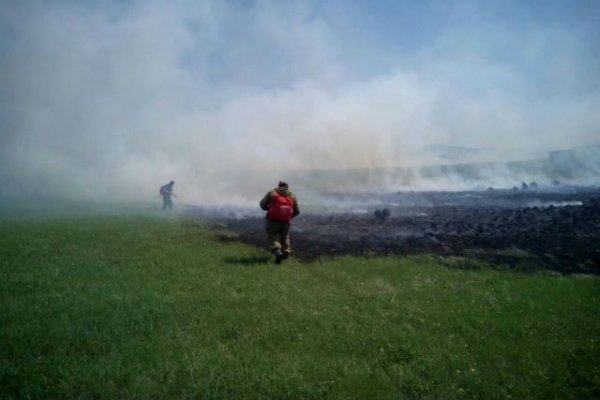 В России за сутки ликвидировали более 30 лесных пожаров | Происшествия - «Политика»