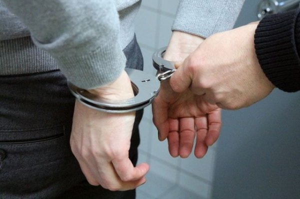 В Саранске арестован мужчина, пытавшийся выбросить дочь в окно | Происшествия - «Происшествия»