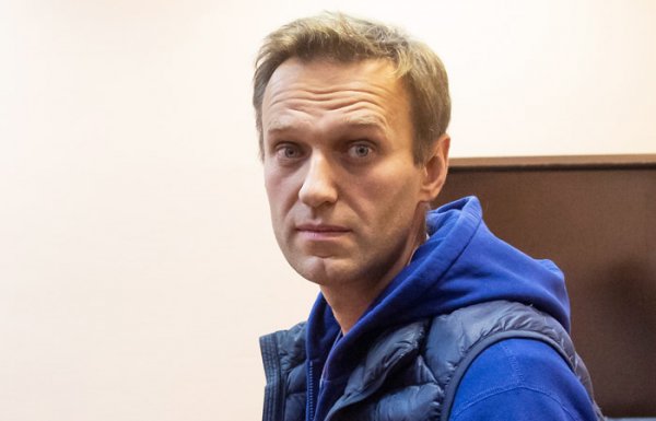 В Северной столице накрыли притон Алексея Навального - «Новости дня»
