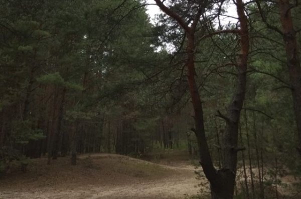 В Забайкалье убийца 13 лет скрывался в лесу | Происшествия - «Происшествия»