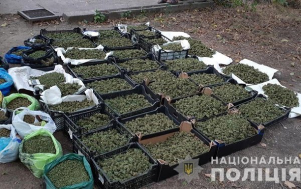 В Запорожской области разоблачили наркокартель - (видео)