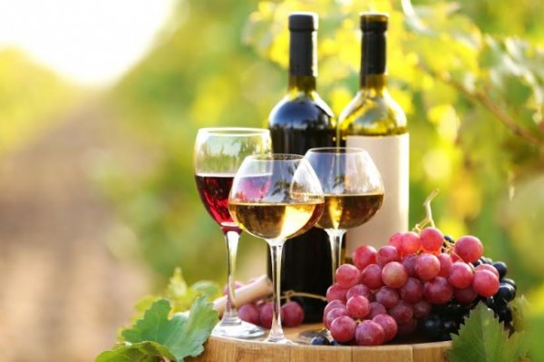 В Грузии заявили о росте экспорта вина в Россию - «Новости Дня»