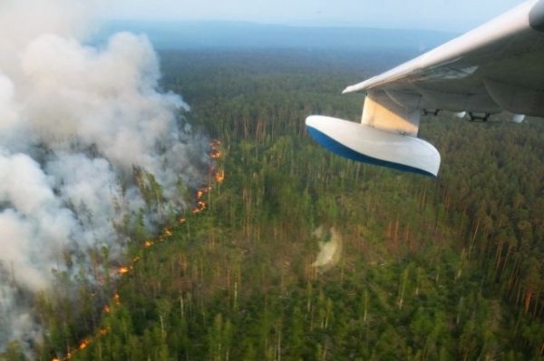 Военная авиация за сутки потушила 60 крупных лесных пожаров в Сибири | Происшествия - «Происшествия»