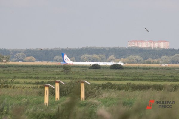 Второй пилот Airbus A321 попал в больницу